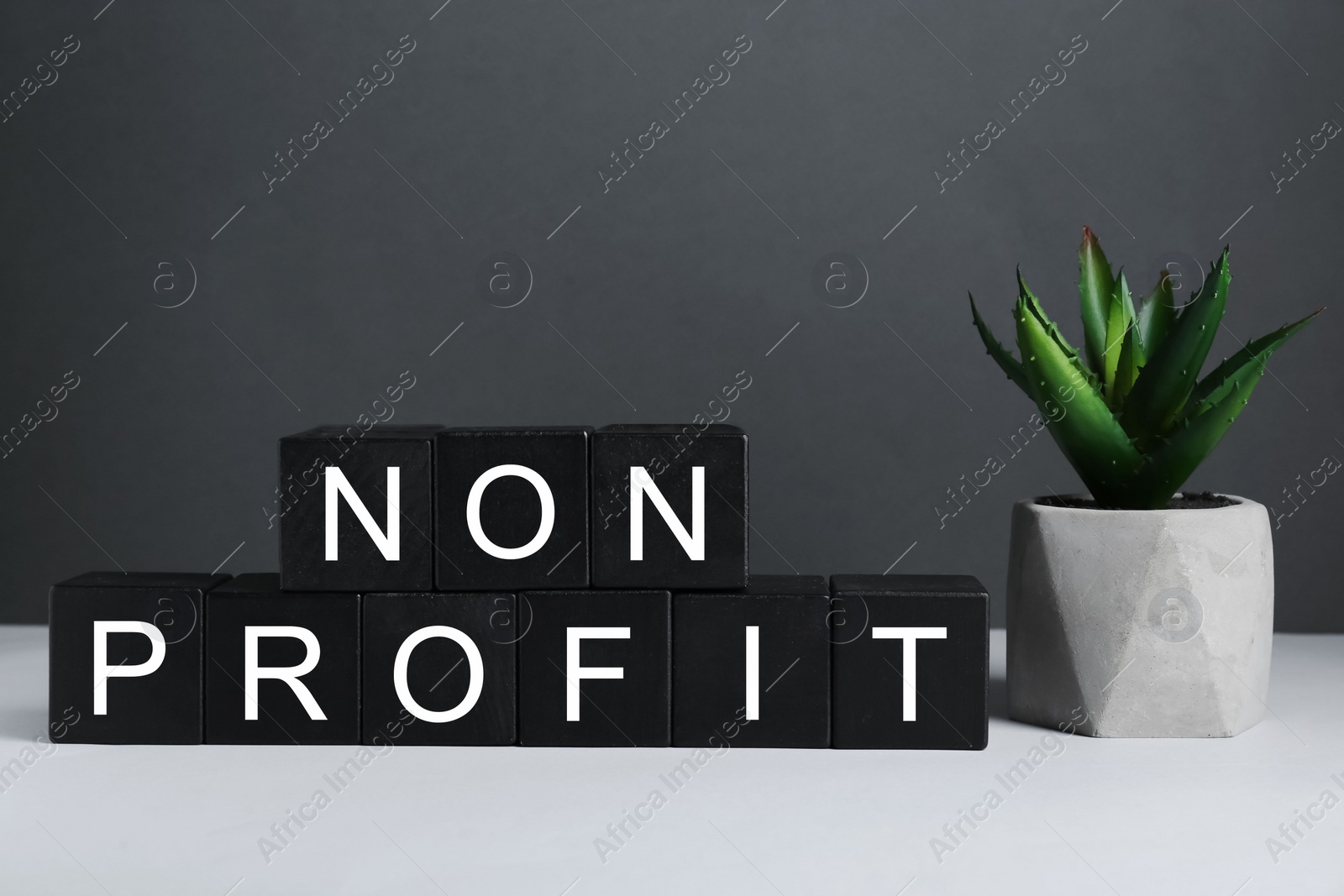 Photo of Black cubes with phrase Non Profit and houseplant on white table