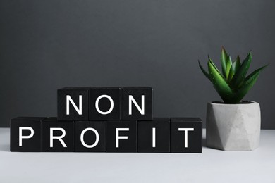 Photo of Black cubes with phrase Non Profit and houseplant on white table