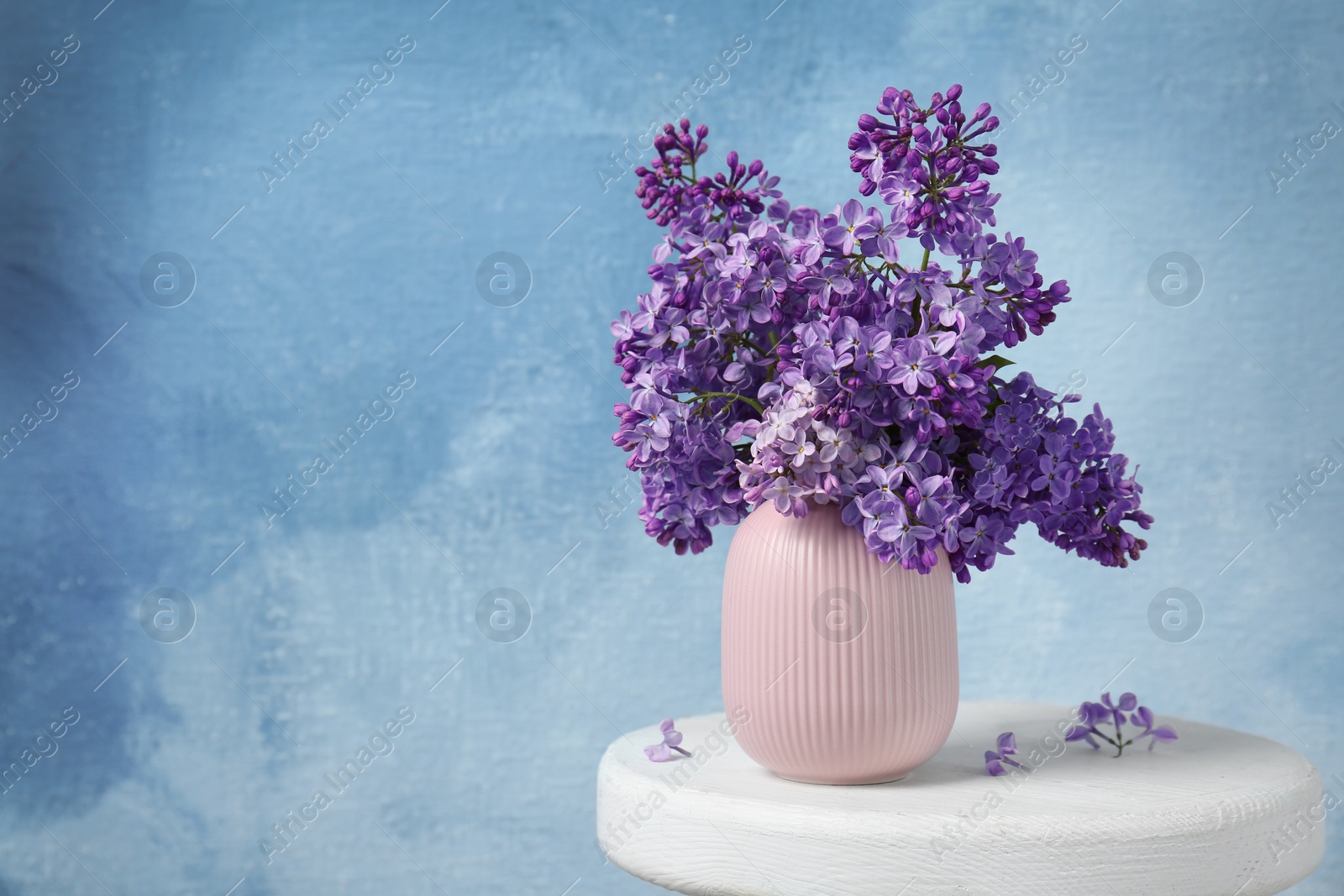 Photo of Vase with beautiful blossoming lilac on table against color background. Spring flowers