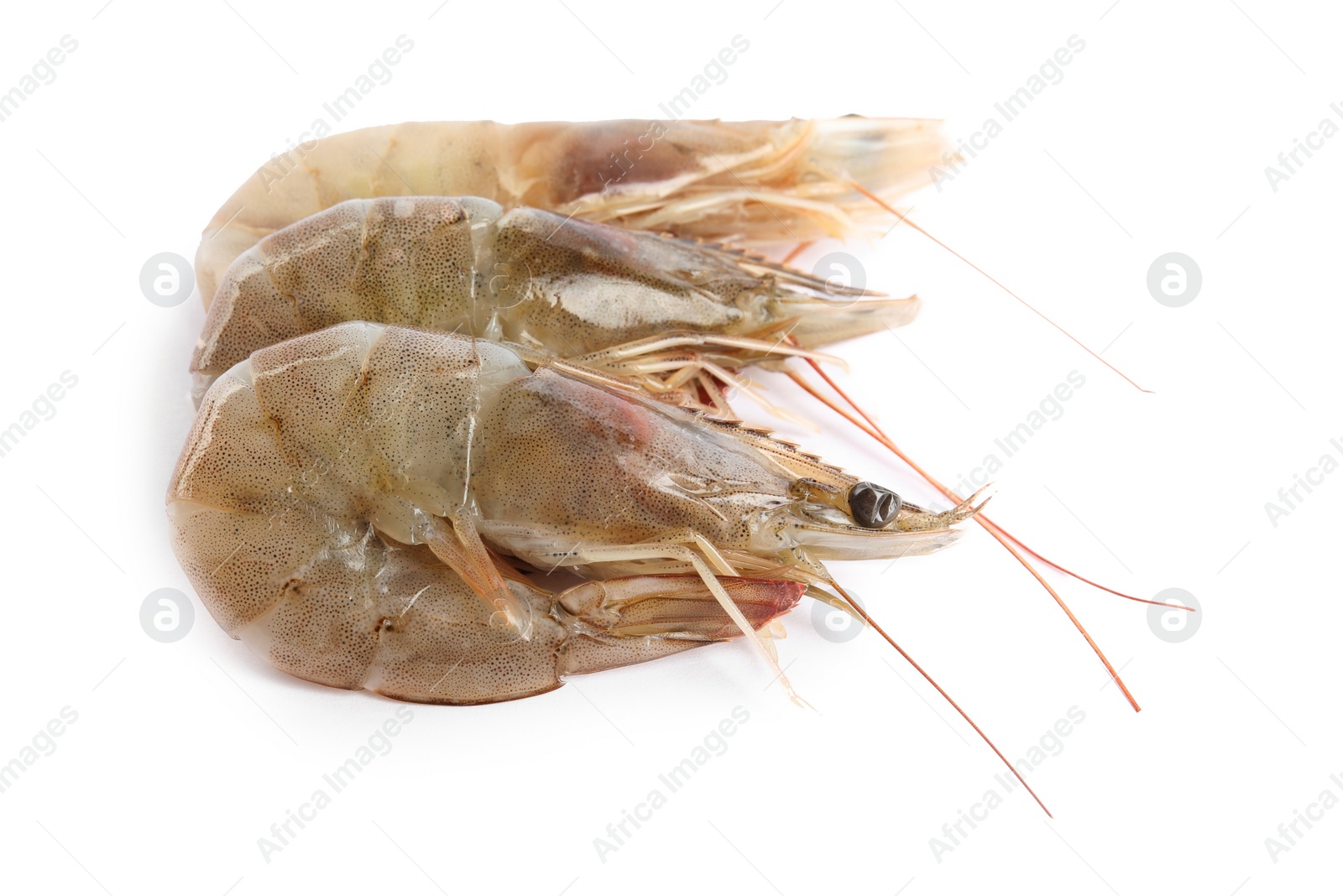 Photo of Fresh raw shrimps isolated on white. Healthy seafood