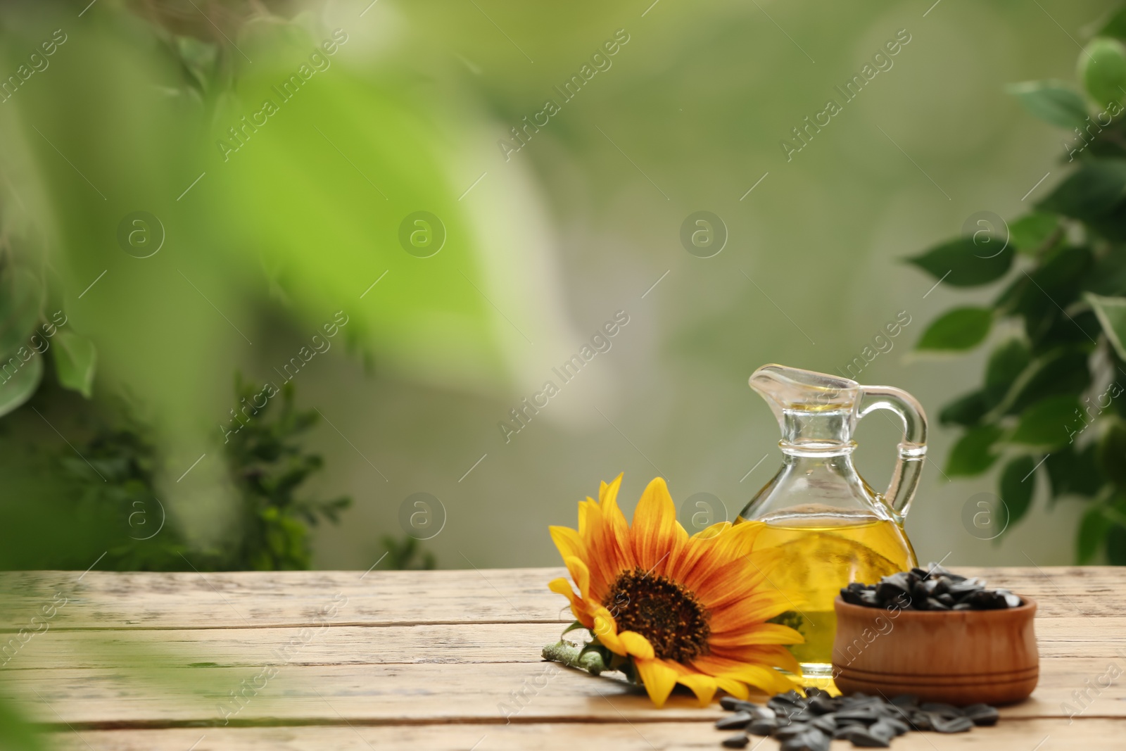 Photo of Sunflower, jug of oil and seeds on wooden table against blurred background, space for text