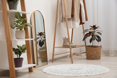 Dressing room interior with wooden furniture, mirror and houseplants near white wall. Stylish accessories