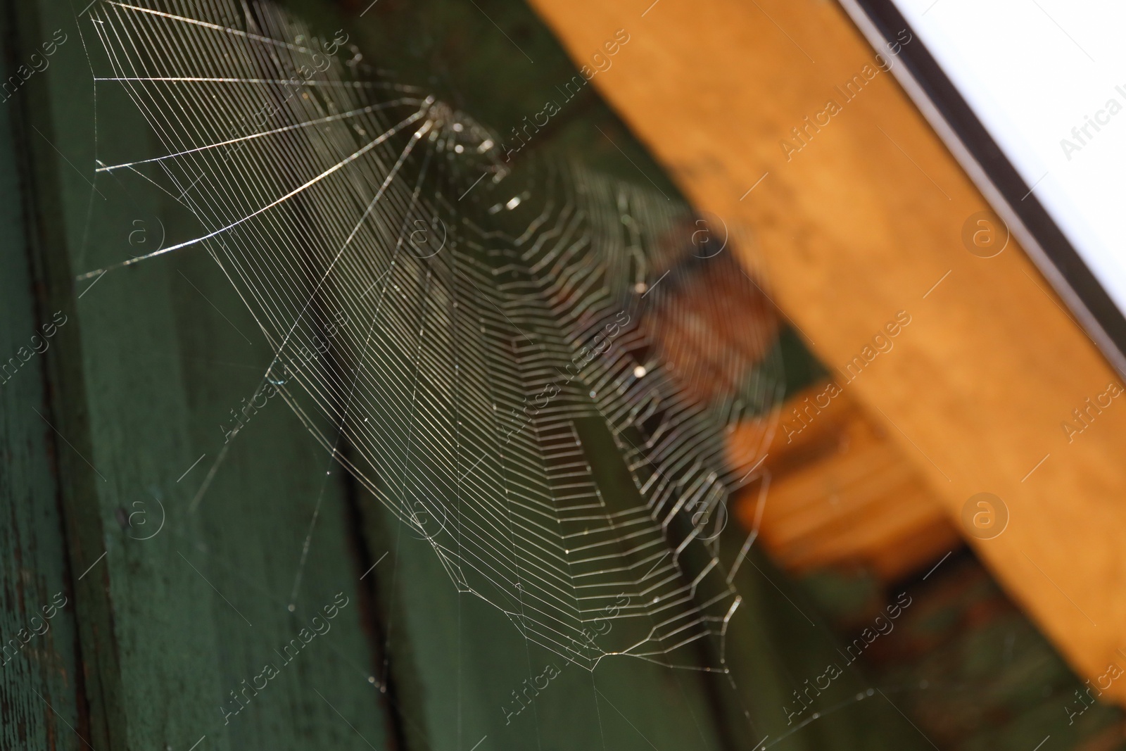 Photo of Cobweb on wooden building outdoors, low angle view