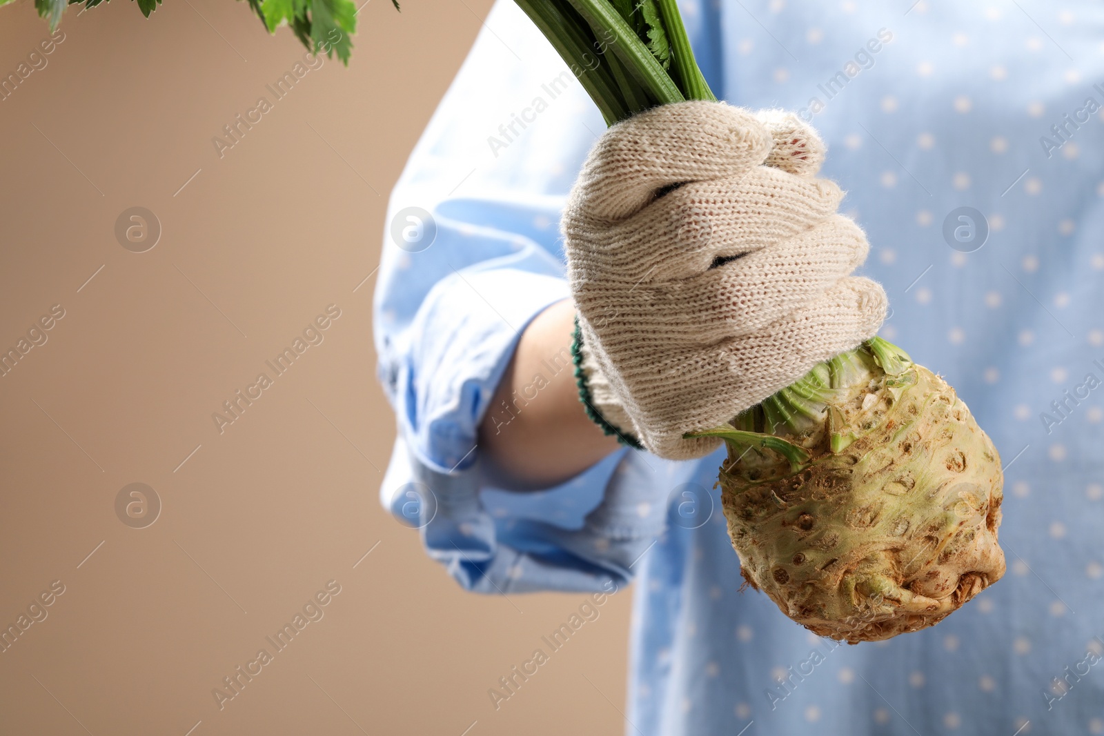 Photo of Woman holding raw celery root on beige background, closeup. Space for text