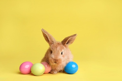 Photo of Adorable furry Easter bunny and dyed eggs on color background, space for text