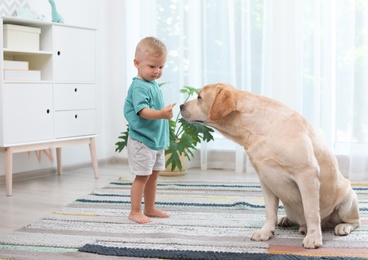 Adorable yellow labrador retriever and little boy at home