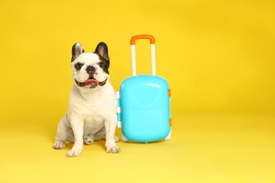 French bulldog with little suitcase on yellow background. Space for text