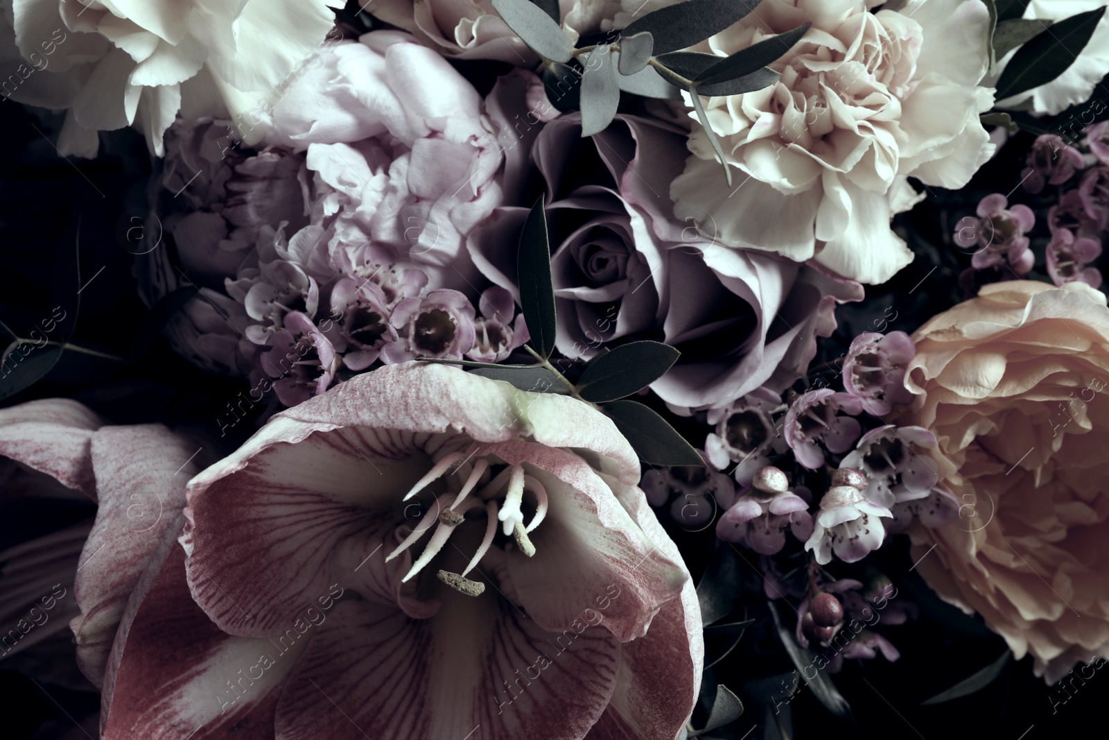 Photo of Beautiful bouquet of different flowers, closeup. Floral card design with dark vintage effect