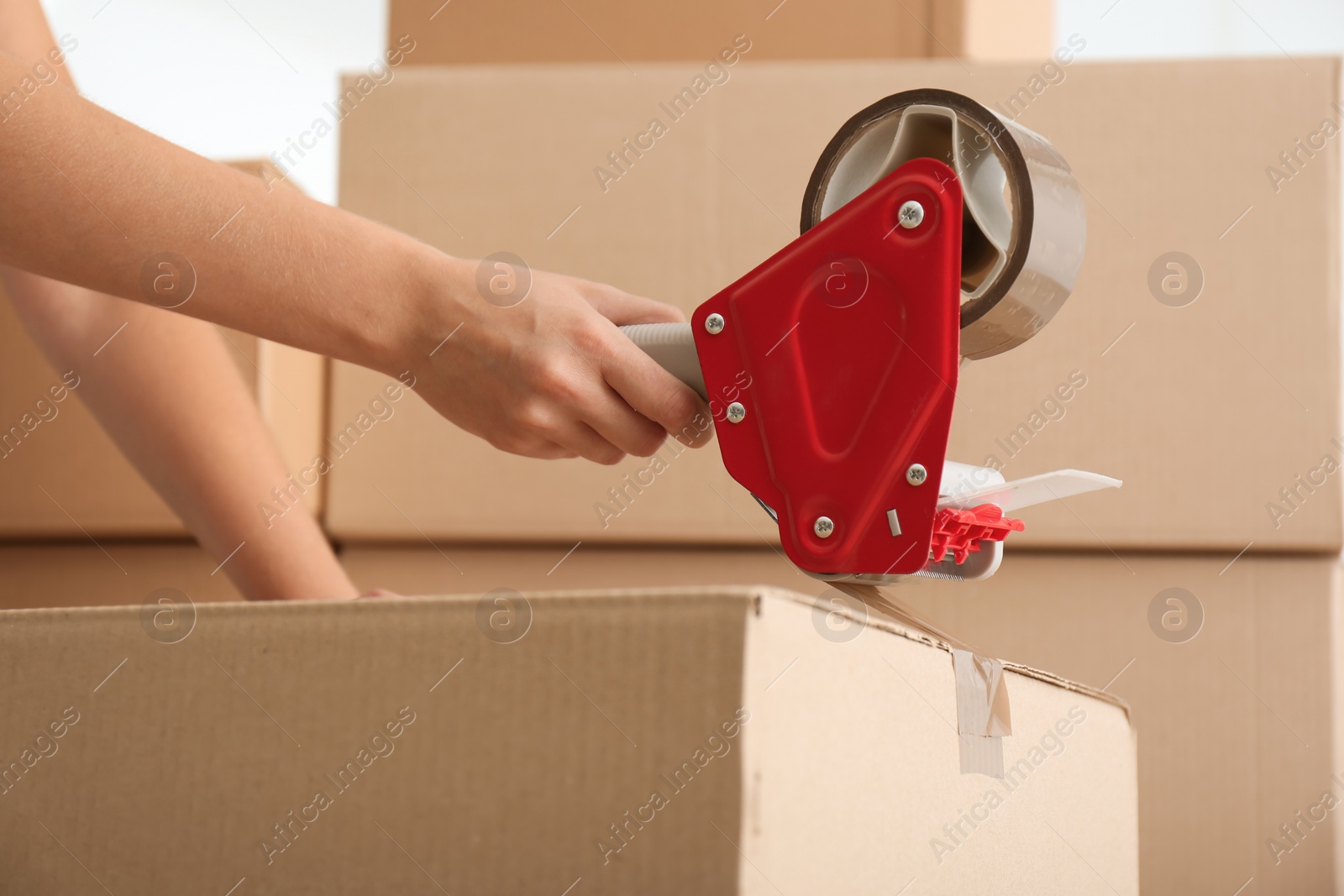 Photo of Woman packing carton box indoors, closeup. Moving day