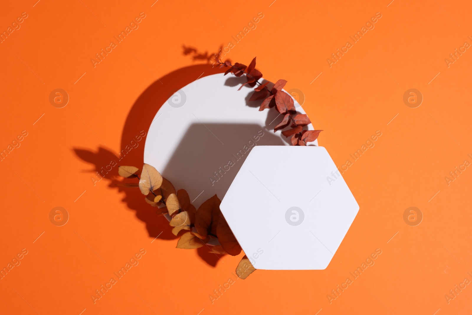 Photo of Scene for product presentation. Podiums of different geometric shapes and dry eucalyptus branches on orange background, top view