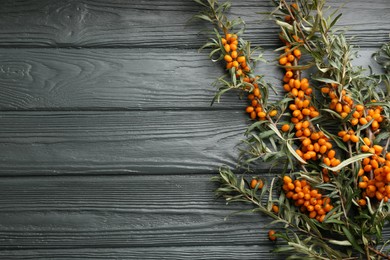 Photo of Branches of sea buckthorn on grey wooden table, flat lay. Space for text