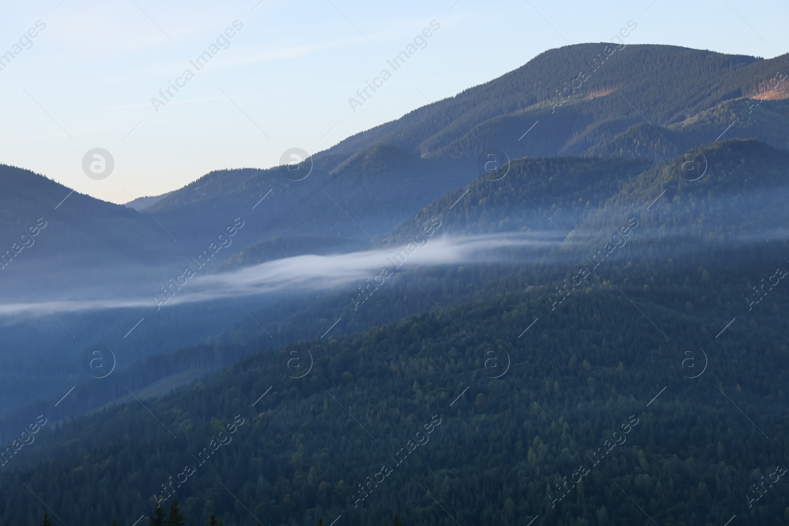 Photo of Picturesque view of mountain forest covered with fog