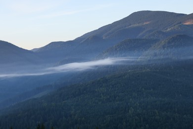 Picturesque view of mountain forest covered with fog