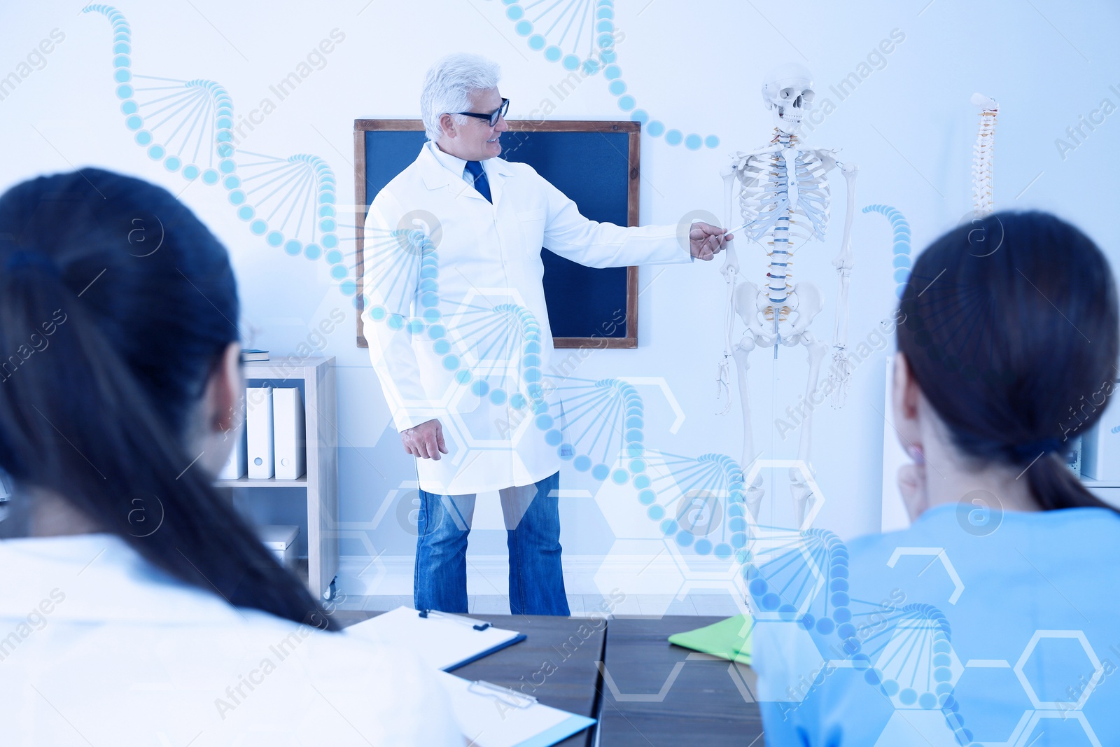 Image of Medical students and professor studying human skeleton anatomy in classroom