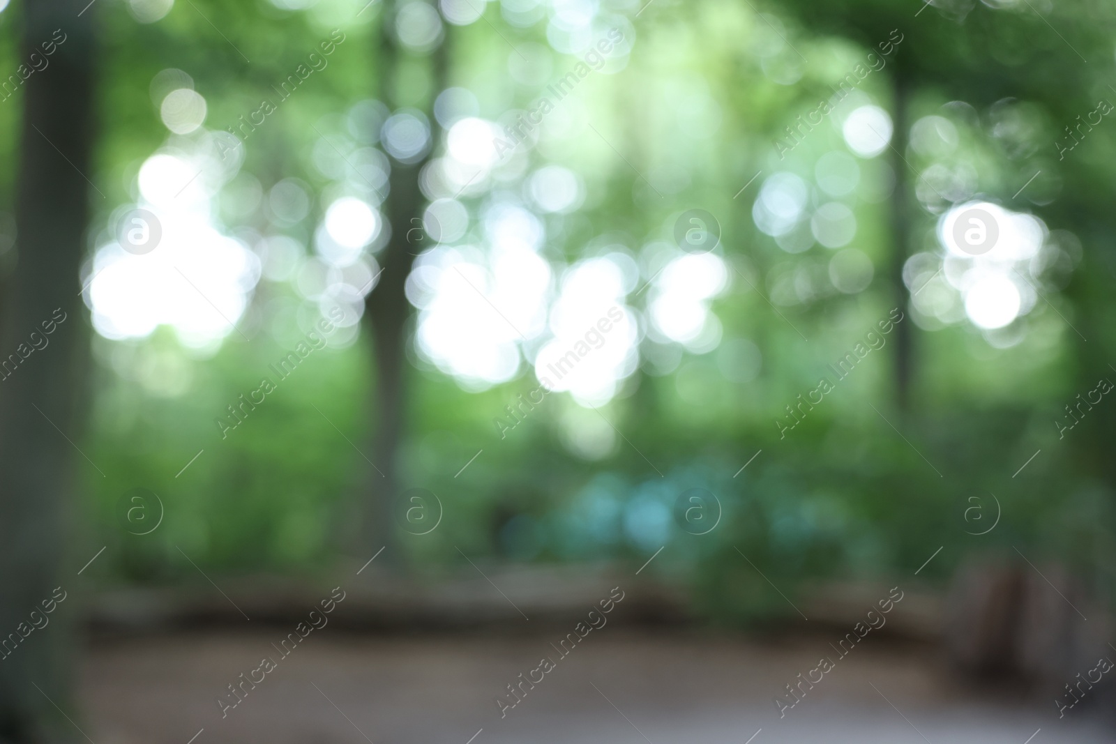 Photo of Blurred view of green trees in forest