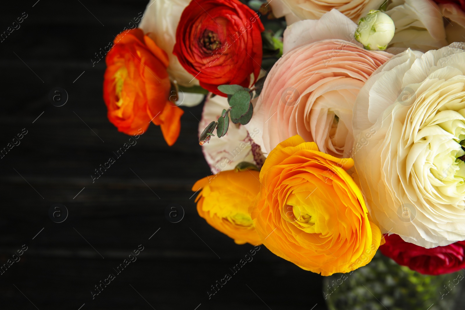 Photo of Bouquet with beautiful bright ranunculus flowers on dark table, closeup. Space for text