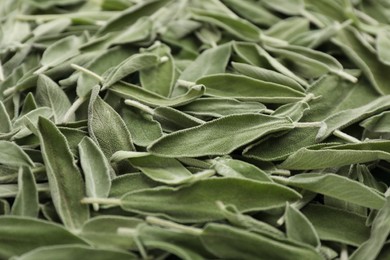 Photo of Fresh green sage leaves as background, closeup