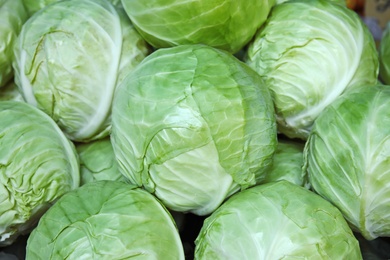 Many ripe cabbages as background, top view