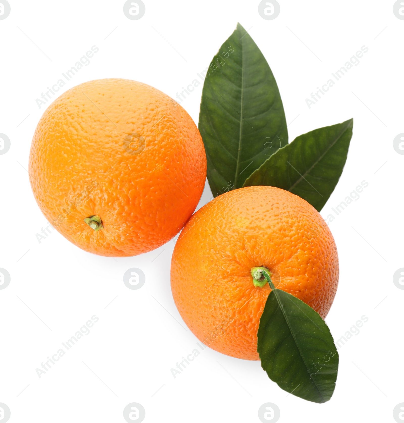 Photo of Fresh ripe oranges with green leaves on white background, top view