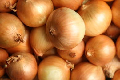 Ripe onion bulbs as background, top view