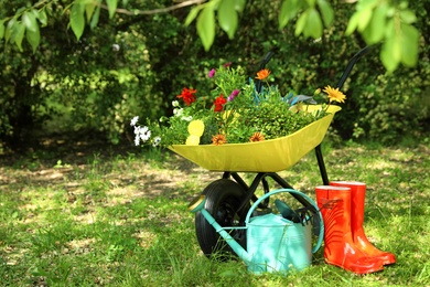Photo of Wheelbarrow with gardening tools and flowers on grass outside. Space for text