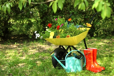 Wheelbarrow with gardening tools and flowers on grass outside. Space for text