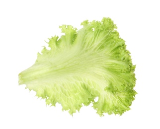 Photo of Fresh green lettuce leaf on white background