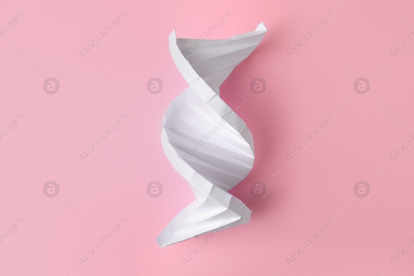 Photo of Paper model of DNA molecular chain on pink background, top view