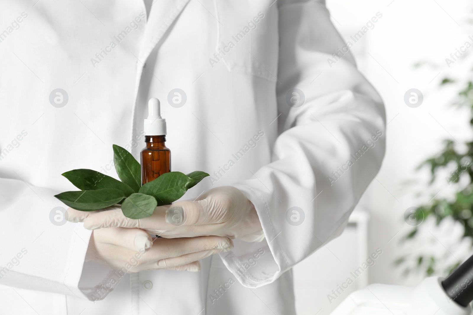 Photo of Lab assistant holding green twig and bottle of essential oil on blurred background, closeup. Plant chemistry