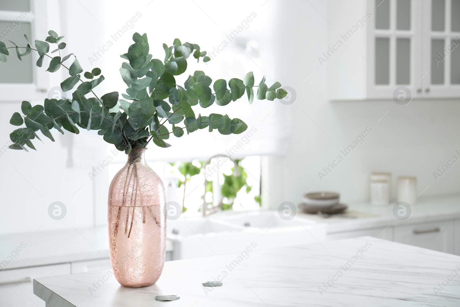 Photo of Beautiful eucalyptus branches on white table in kitchen, space for text. Interior element