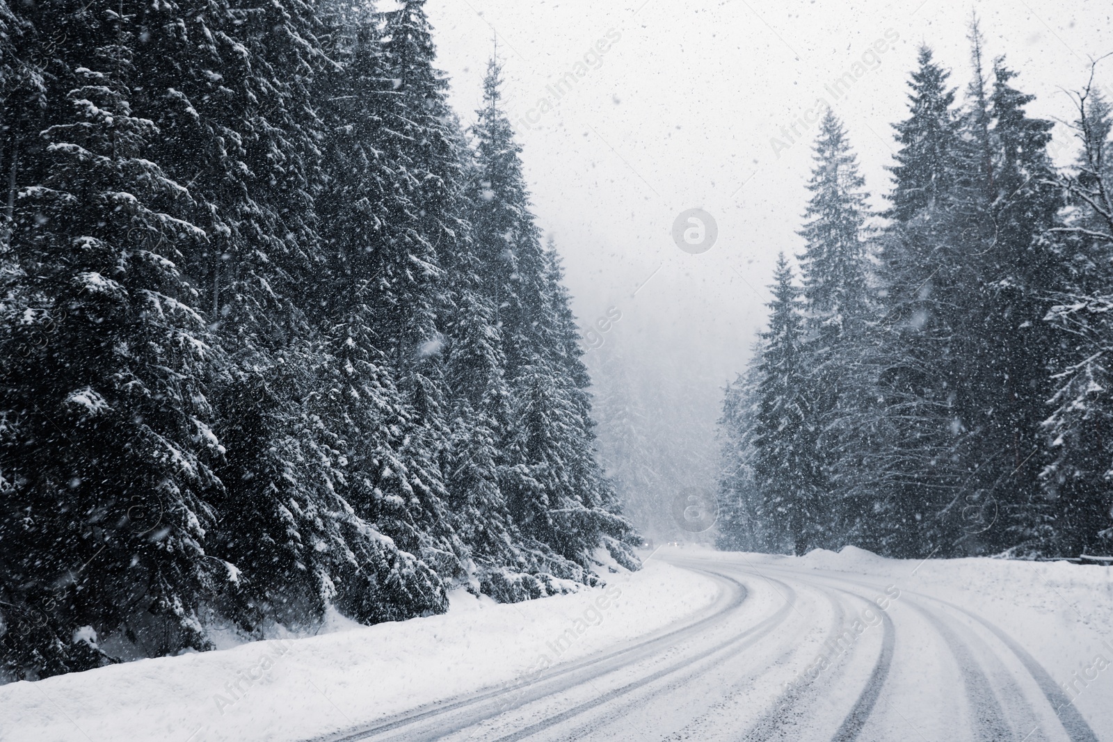 Photo of Beautiful landscape with road and conifer forest on snowy winter day