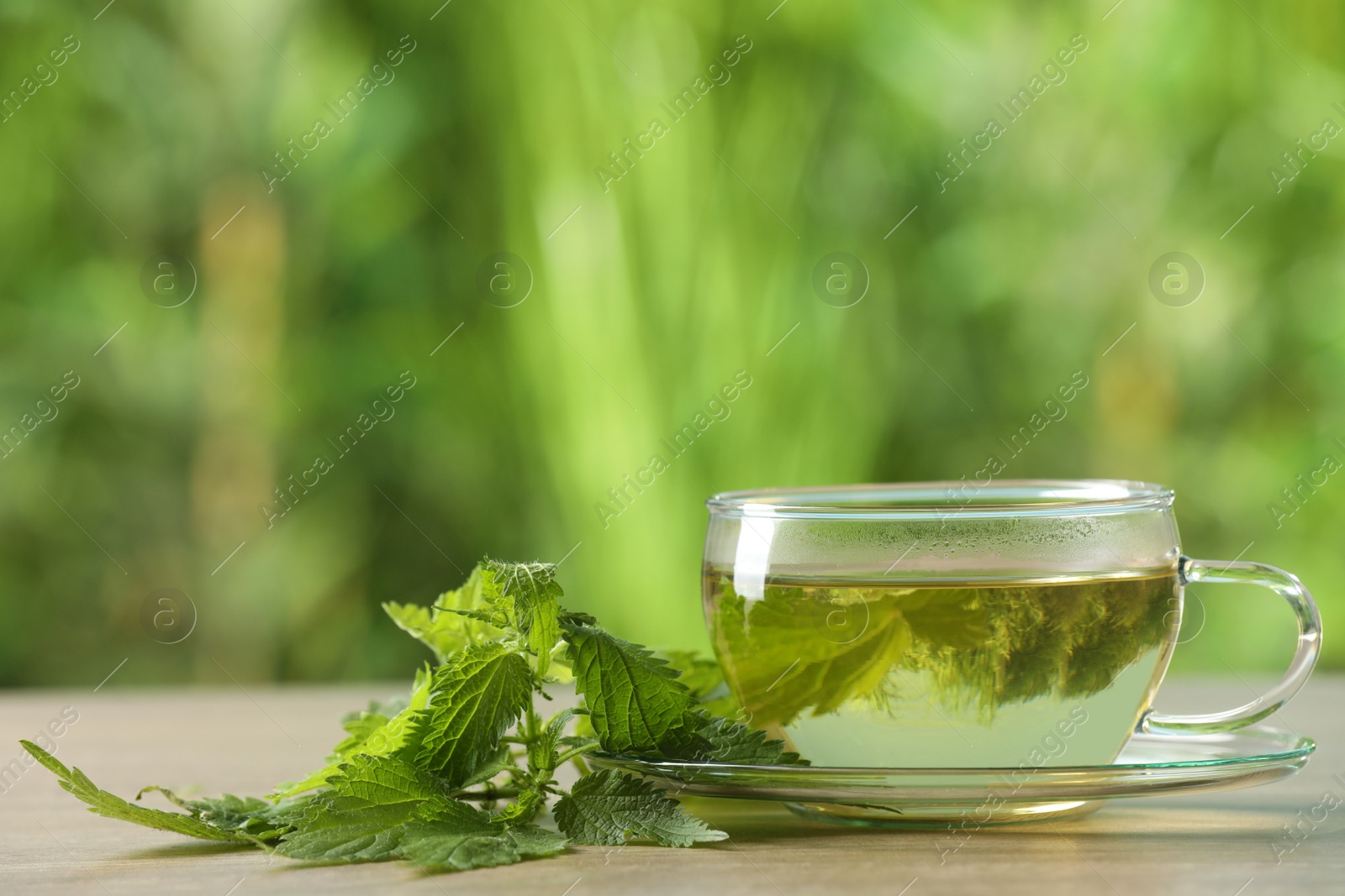 Photo of Glass cup of aromatic nettle tea and green leaves on table outdoors