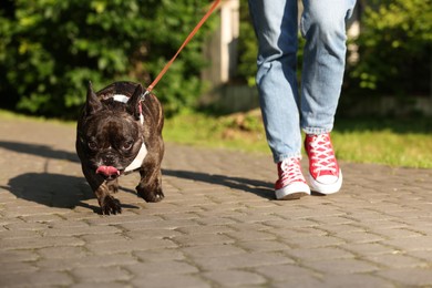 Woman walking with cute French Bulldog outdoors, closeup