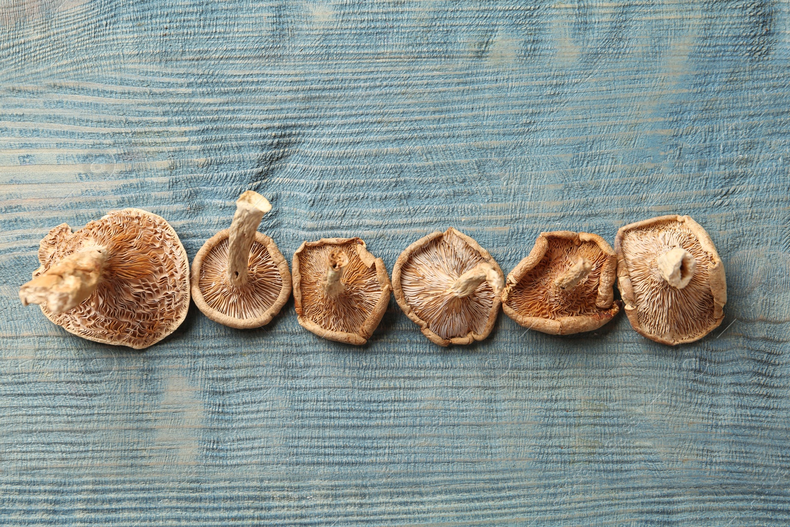 Photo of Flat lay composition of dried mushrooms on color wooden background