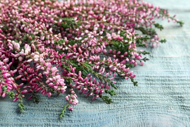 Photo of Heather branches with beautiful flowers on light blue wooden table, closeup