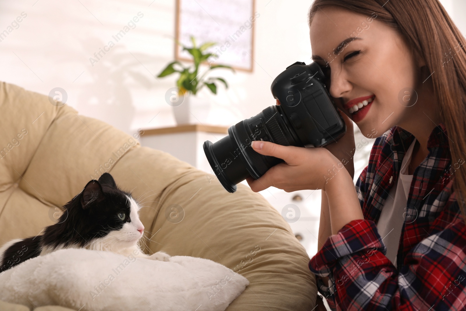 Photo of Professional animal photographer taking picture of beautiful cat at home