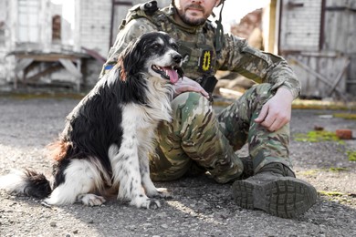 Photo of Ukrainian soldier with stray dog outdoors on sunny day, closeup