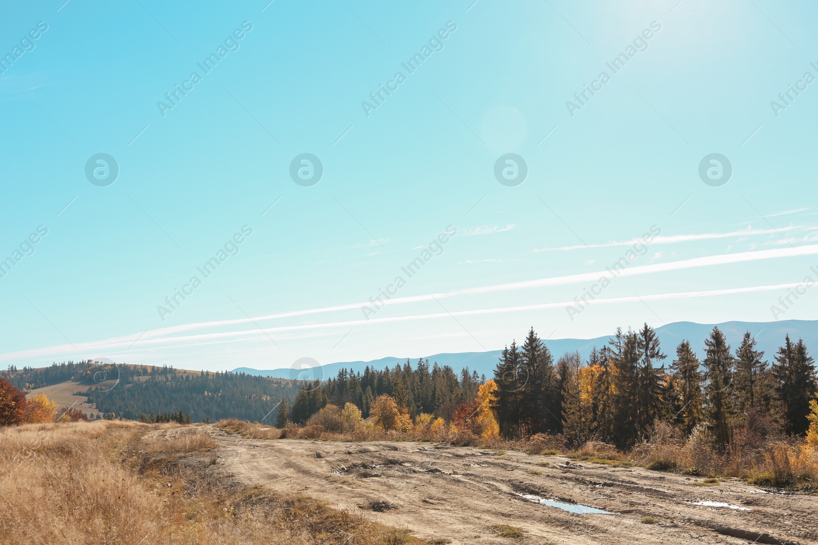 Photo of Picturesque landscape with beautiful forest and mountains