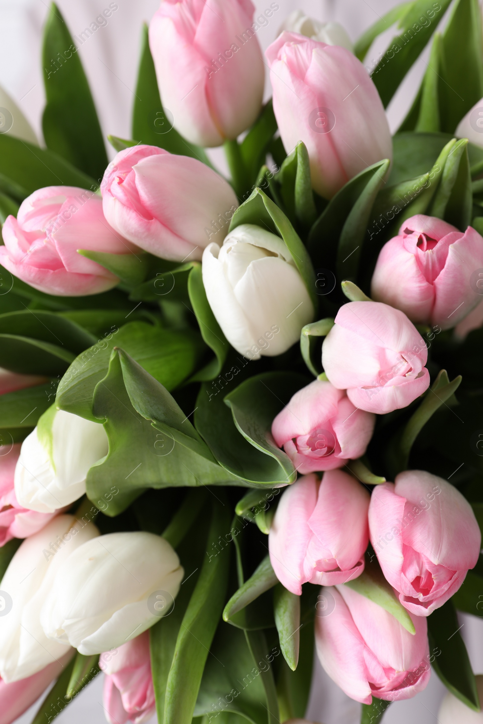 Photo of Big bouquet of beautiful tulips, closeup view