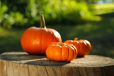 Photo of Many orange pumpkins on stump in garden, closeup