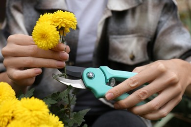 Photo of Closeup view of woman pruning beautiful yellow flowers by secateurs outdoors, focus on hands
