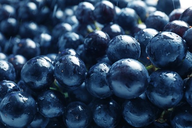 Photo of Fresh ripe juicy grapes with water drops as background, closeup