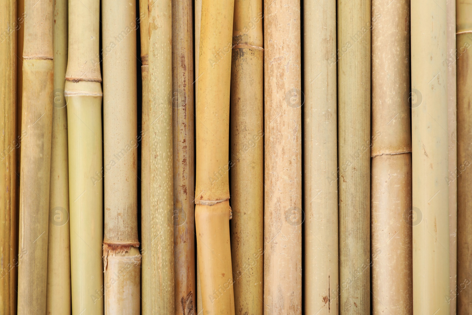 Photo of Dry bamboo sticks as background, top view