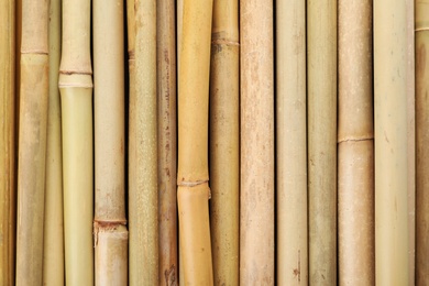 Dry bamboo sticks as background, top view