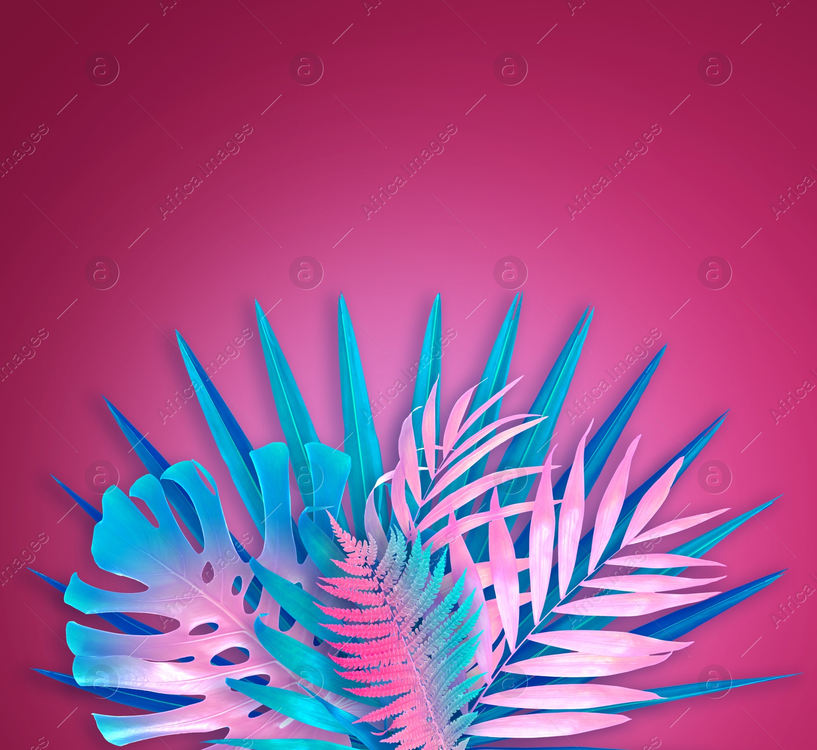 Image of Tropical leaves in neon colors on dark pink background