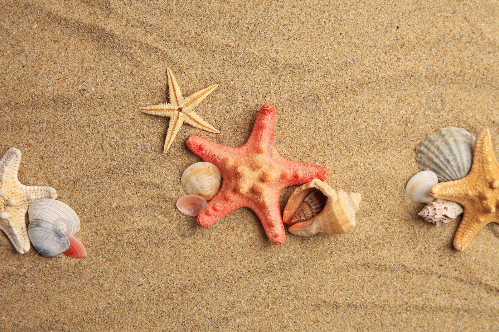 Photo of Beautiful sea stars and shells on sand, flat lay