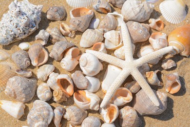 Photo of Beautiful starfish and sea shells on sand, closeup