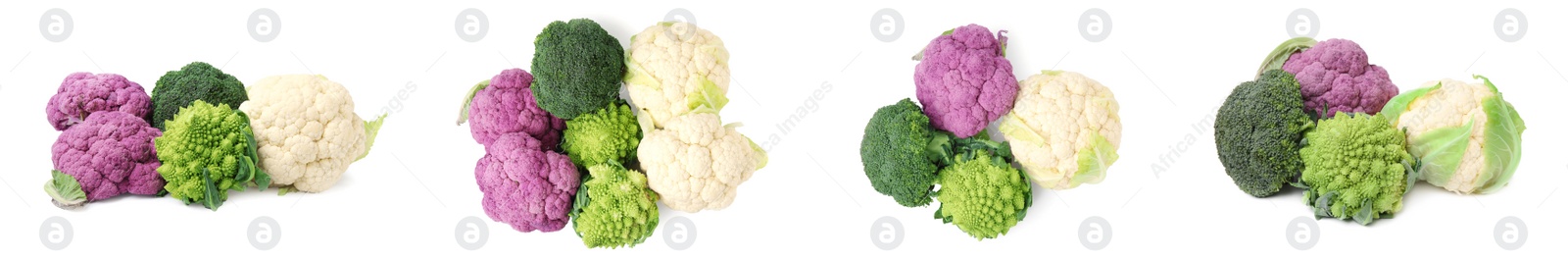 Image of Set with different fresh cabbages on white background