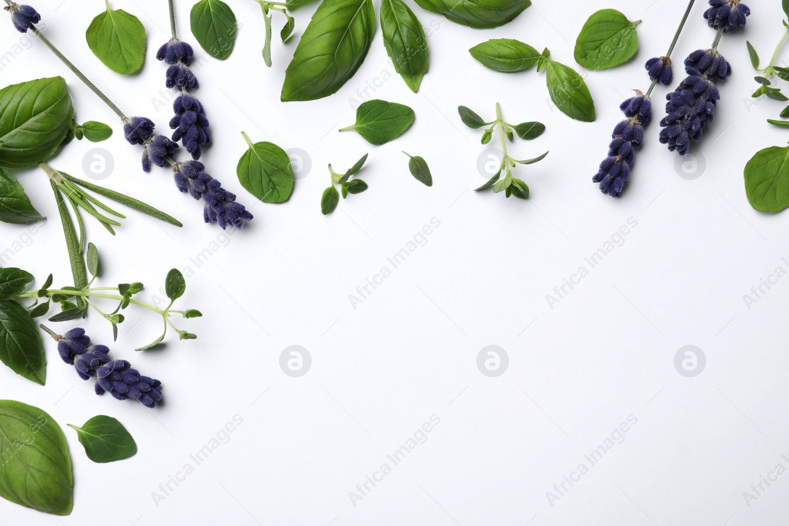 Photo of Many different aromatic herbs on white background, flat lay. Space for text