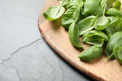 Photo of Fresh basil leaves on grey table, closeup